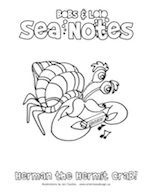 SeaNotes_Colouring_HermitCrab